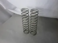 Losi SBR 2.0 Federn Hinterachse