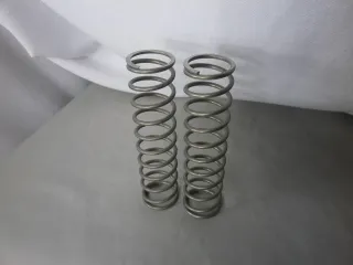Losi SBR 2.0 Federn Hinterachse